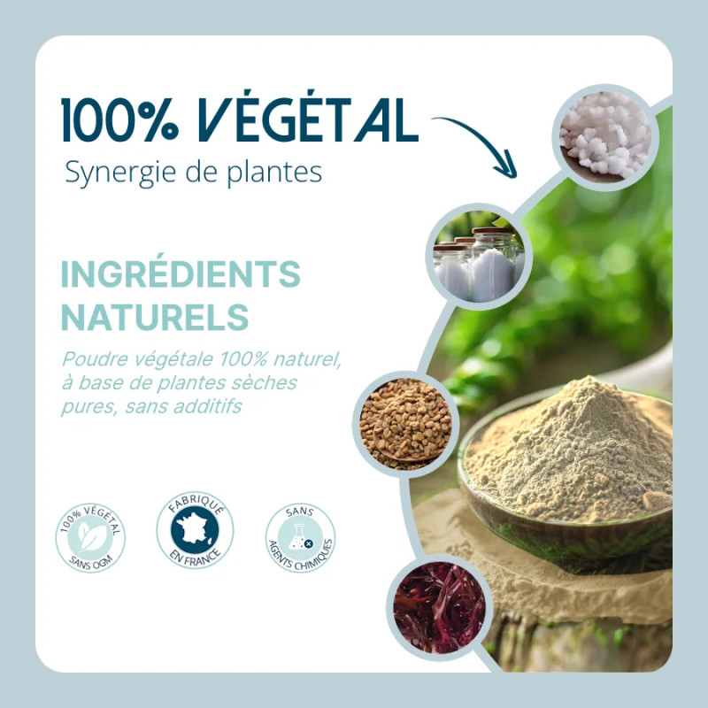 Perfect Flore - Pre/Probiotic digestive support for dogs - Lore & Science